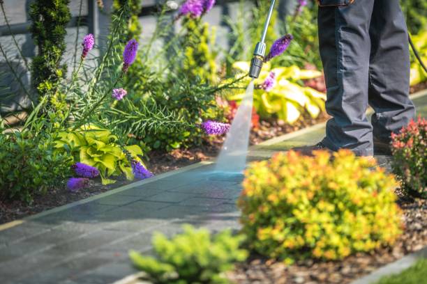Trusted Oakdale, LA Pressure Washing Services Experts